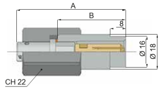 HW_AM-SE_1.PNG