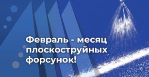 Февраль - месяц плоскоструйных форсунок
