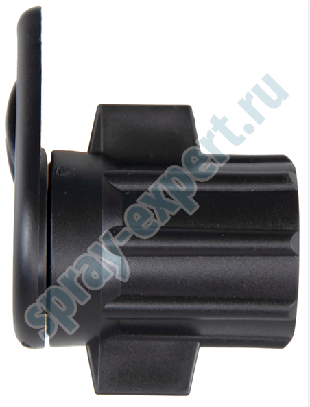 SCSE013812